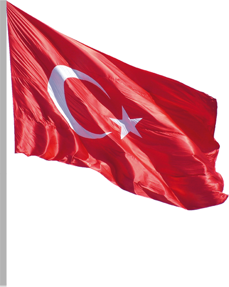Turk bayragı